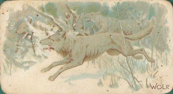 1909 Philadelphia Caramel Zoo (E28) #NNO Wolf Front