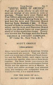 1922 Church & Dwight Useful Birds of America Third Series (J7) #11 Scott Oriole Back