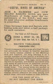 1933 Church & Dwight Useful Birds of America Seventh Series (J9-3) #9 Brown Thrasher Back