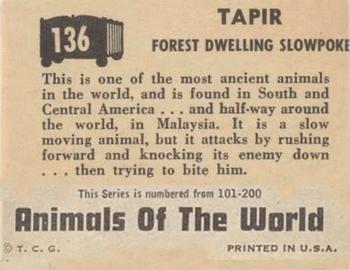 1951 Topps Animals of the World (R714-1) #136 Tapir Back