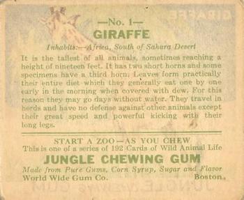1933 Jungle Chewing Gum (R78) #1 Giraffe Back