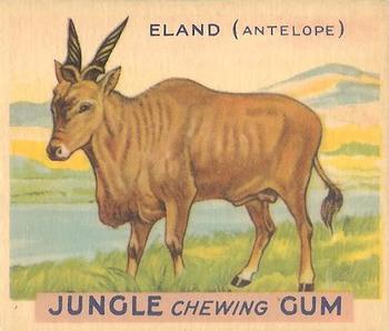 1933 Jungle Chewing Gum (R78) #2 Eland Front
