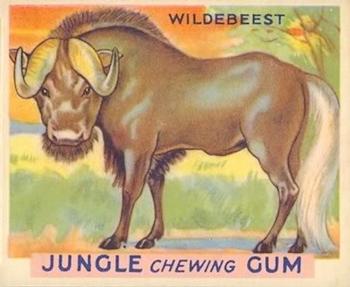 1933 Jungle Chewing Gum (R78) #5 Wildebeest Front