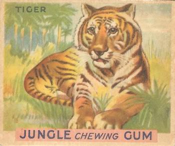 1933 Jungle Chewing Gum (R78) #6 Tiger Front