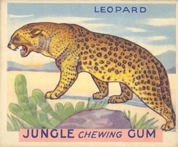 1933 Jungle Chewing Gum (R78) #10 Leopard Front
