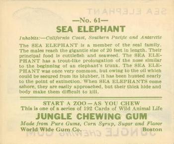 1933 Jungle Chewing Gum (R78) #61 Sea Elephant Back