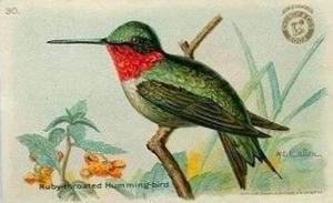 1918 Church & Dwight Useful Birds of America Second Series (J6) #30a Ruby-throated Hummingbird Front