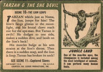 1953 Topps Tarzan & the She Devil (R714-21) #10 The Lion Leaps Back