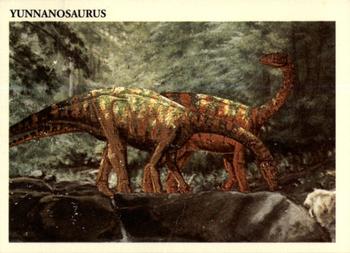 1993 Redstone Dinosaurs Mesozoic Era #1 Yunnanosaurus Front