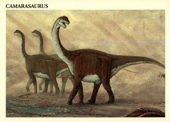 1993 Redstone Dinosaurs Mesozoic Era #3 Camarasaurus Front