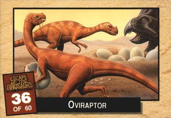 1993 Dynamic Marketing Escape of the Dinosaurs #36 Oviraptor Front