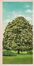 1966 Brooke Bond Trees In Britain #15 Horse Chestnut Front