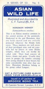1962 Brooke Bond Asian Wild Life #5 Hanuman Monkey Back