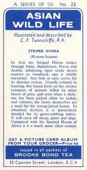 1962 Brooke Bond Asian Wild Life #23 Striped Hyena Back
