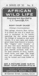 1973 Brooke Bond African Wild Life #8 Bushy-Tailed Galago Back