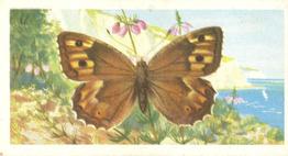 1973 Brooke Bond British Butterflies #6 Grayling Front