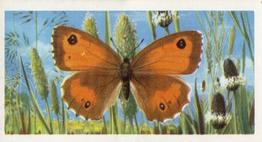 1963 Brooke Bond British Butterflies #8 Hedge Brown Front