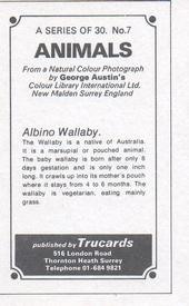 1970 Trucards Animals #7 Albino Wallaby Back