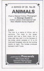 1970 Trucards Animals #28 Lion Back