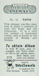 1954 Neilson's Interesting Animals #14 Tapir Back
