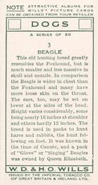 1937 Wills's Dogs #3 Beagle Back