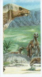 1993 Brooke Bond The Dinosaur Trail #10 Camptosaurus Front