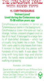 1993 Brooke Bond The Dinosaur Trail - 2nd Printing with BB11 Postcode #15 Corythosaurus Back