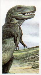 1993 Brooke Bond The Dinosaur Trail - 2nd Printing with BB11 Postcode #17 Trannosaurus Rex Front
