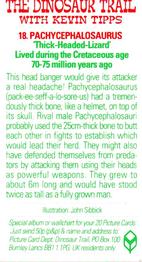 1993 Brooke Bond The Dinosaur Trail - 2nd Printing with BB11 Postcode #18 Pachycephalosaurus Back