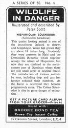 1973 Brooke Bond Wildlife In Danger #4 Hispaniolan Solenodon Back