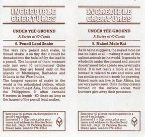 1985 Brooke Bond Incredible Creatures (Sheen Lane address)(Double Cards) #5-6 Naked Mole Rat / Pencil Lead Snake Back
