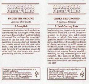1985 Brooke Bond Incredible Creatures (Sheen Lane address)(Double Cards) #7-8 Leaf-Cutting Ants / Lungfish Back