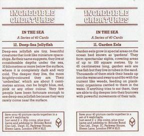 1985 Brooke Bond Incredible Creatures (Sheen Lane address)(Double Cards) #11-12 Garden Eels / Deep-Sea Jellyfish Back