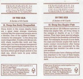 1985 Brooke Bond Incredible Creatures (Sheen Lane address)(Double Cards) #13-14 Deep-Sea Angler Fish / Deep-Sea Scaly Dragonfish Back