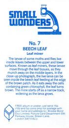 1981 Brooke Bond Small Wonders #7 Beech Leaf Back