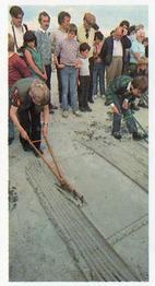 1992 Brooke Bond Discovering Our Coast #6 The Boy Ploughmen of St Margaret's Hope Front