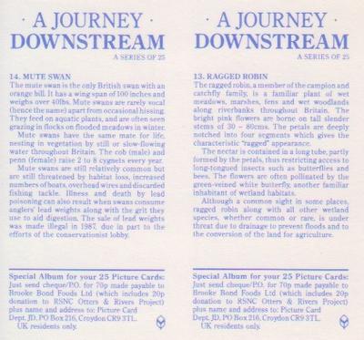 1990 Brooke Bond A Journey Downstream (Double Cards) #13-14 Ragged Robin / Mute Swan Back