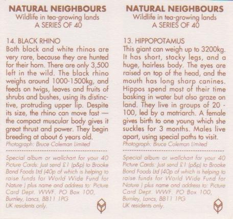 1992 Brooke Bond Natural Neighbours (Double Cards) #13-14 Hippopotamus / Black Rhino Back