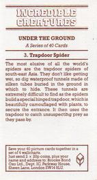 1985 Brooke Bond Incredible Creatures (Sheen Lane address) #3 Trapdoor Spider Back
