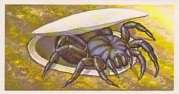 1985 Brooke Bond Incredible Creatures (Sheen Lane address) #3 Trapdoor Spider Front