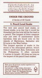 1985 Brooke Bond Incredible Creatures (Sheen Lane address) #6 Pencil Lead Snake Back