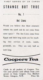 1961 Coopers Tea Strange But True #1 Ant Lions Back