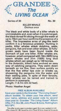 1985 Grandee The Living Ocean #30 Killer Whale Back