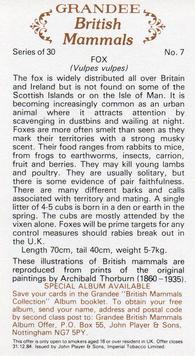 1982 Grandee British Mammals (Imperial Tobacco Limited) #7 Fox Back