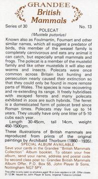 1982 Grandee British Mammals (Imperial Tobacco Limited) #13 Polecat Back