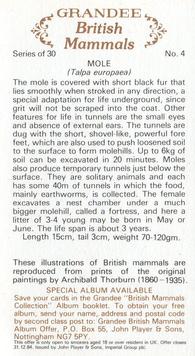 1982 Grandee British Mammals (Imperial Group plc) #4 Mole Back