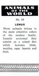 1954 Anonymous Animals of the World #23 Lemur Back