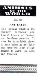 1954 Anonymous Animals of the World #25 Ant Eater Back