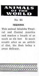 1954 Anonymous Animals of the World #35 Iguana Back
