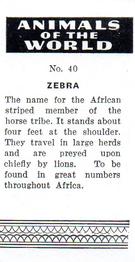 1954 Anonymous Animals of the World #40 Zebra Back